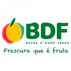 BDF